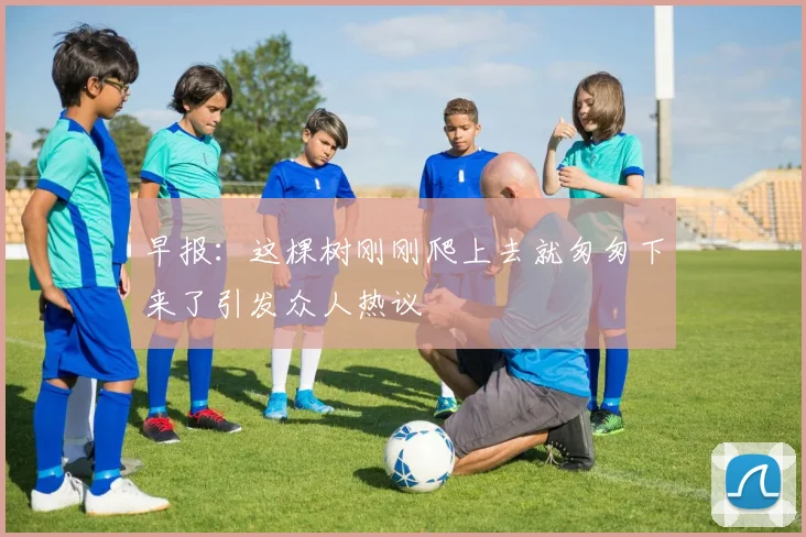 早报：这棵树刚刚爬上去就匆匆下来了引发众人热议